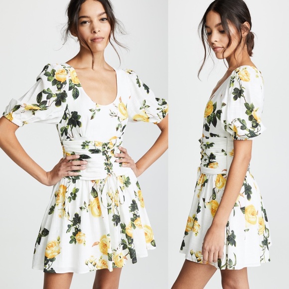 steele sofia bustier dress